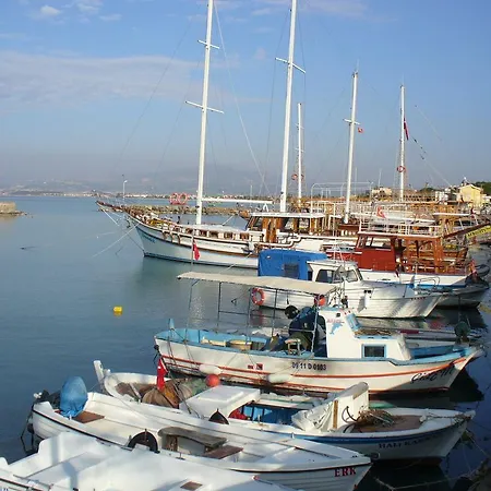 Demirci 4