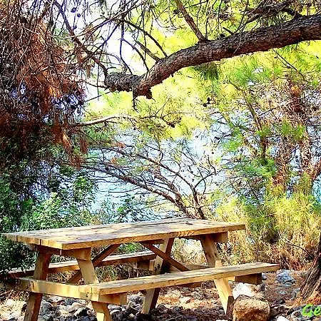 Demirci 4 Homestay Kusadasi
