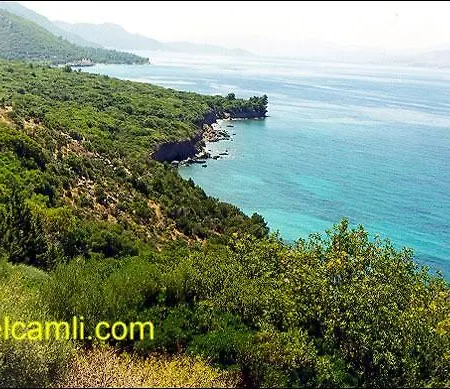 Demirci 4 Homestay