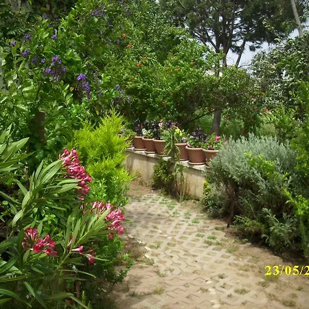 Homestay Demirci 4