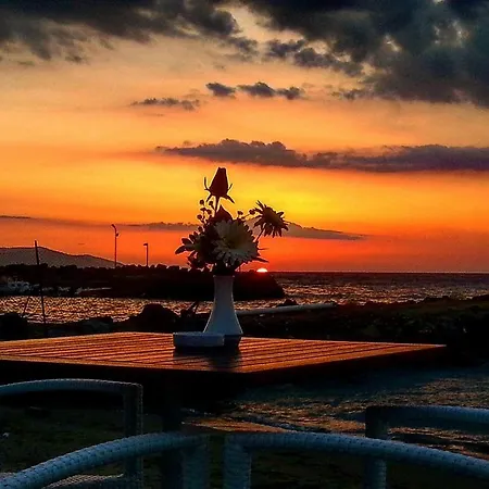 Demirci 4