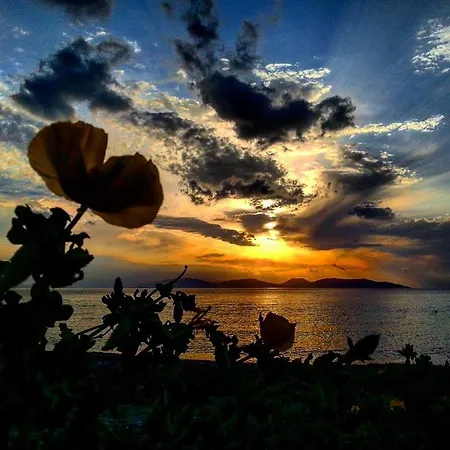 Demirci 4 Kusadasi